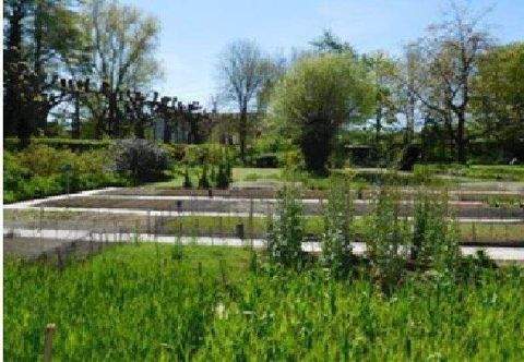 Berlin Grundstücke, Berlin Grundstück kaufen