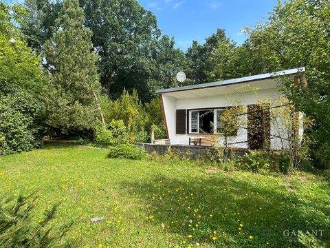 Colditz Häuser, Colditz Haus kaufen
