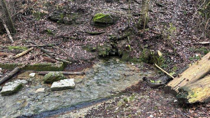 die Quelle nahe Grundstücksgrenze