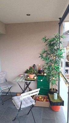 20251114_161405 (3).jpg