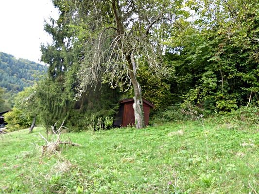 Grundstück mit kleiner Gartenhütte