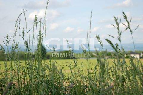 Mariaposching Bauernhöfe, Landwirtschaft, Mariaposching Forstwirtschaft