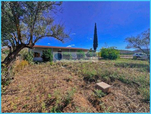 619ab5c6abae4e68bfde3617a101a96e-original