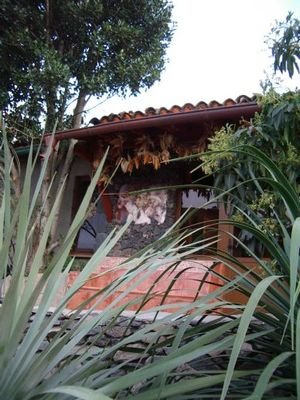 Bild 17