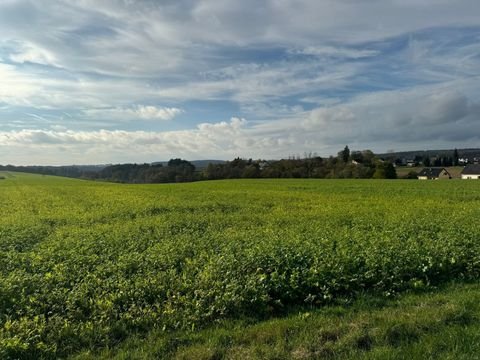 Landscheid Grundstücke, Landscheid Grundstück kaufen