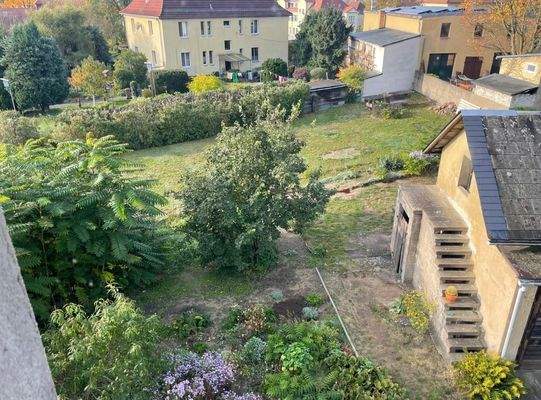 Blick auf den Garten