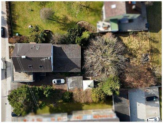 Vogelperspektive über dem Altbestand