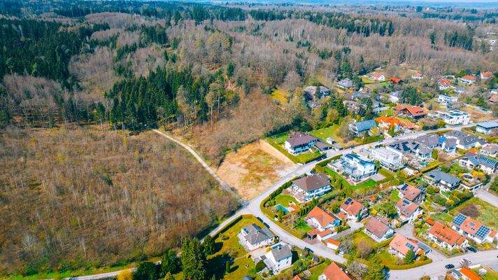 Staatsforst als Nachbar - pflege des Waldes garantiert 