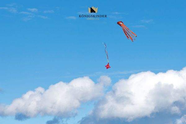 Wiese_gegenüber_DSC5753