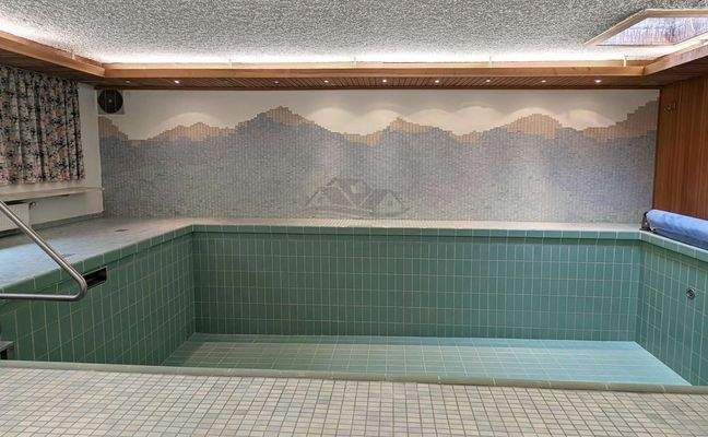 Pool (länger ungenutzt)