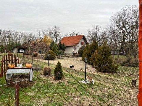 Bócsa Häuser, Bócsa Haus kaufen