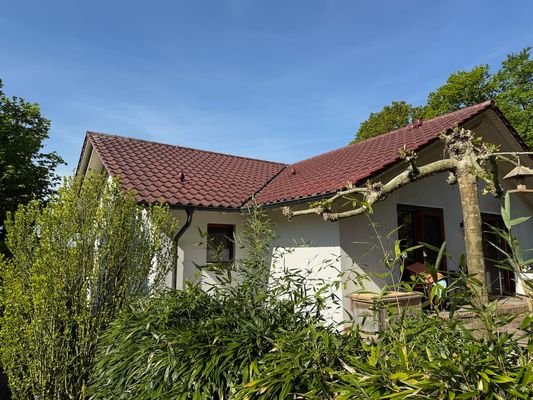 Ansicht Garten zum Haus