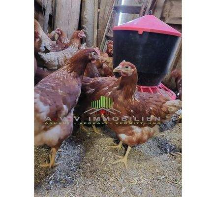 PHOTO-2025-08-11-16-28-17