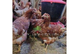 PHOTO-2025-08-11-16-28-17