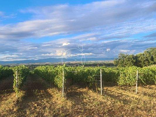 Wunderschönes Anwesen