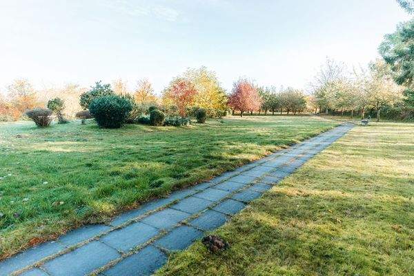 Freifläche auf dem Gelände