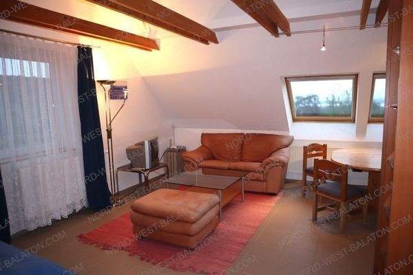 Studio mit Wohn-/Essbereich, Küchenzeile und Bad