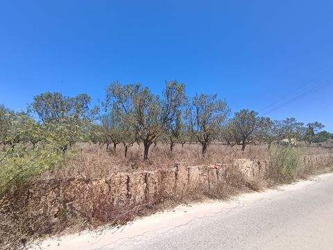 Santa Margalida Grundstücke, Santa Margalida Grundstück kaufen