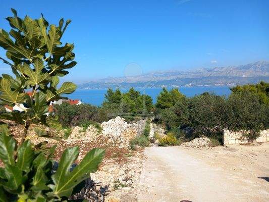 Nur 100 Meter vom Meer entfernt!