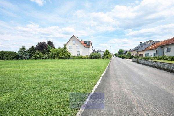 Grüne Wiese in einer Vorstadtsiedlung