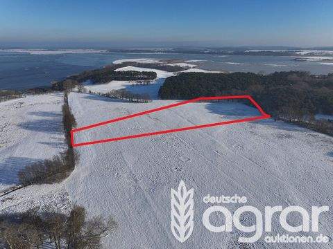 Balm-Benz Bauernhöfe, Landwirtschaft, Balm-Benz Forstwirtschaft