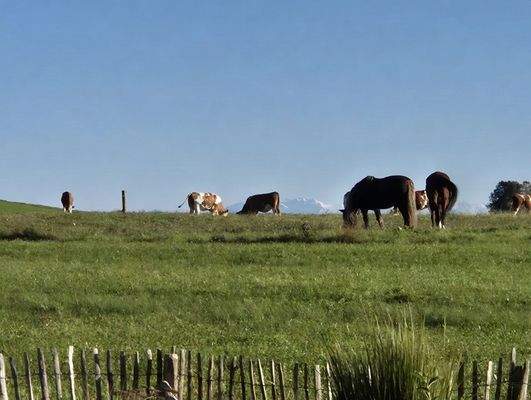 Blick von der Terrasse