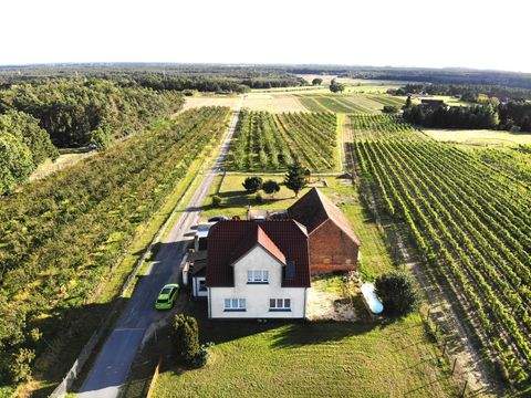 Jessen (Elster) Häuser, Jessen (Elster) Haus kaufen