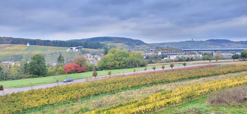 Ausblick in die Natur 
