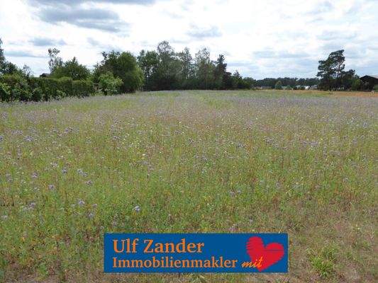 Baugrundstück für 3 Mehrfamilienhäuser