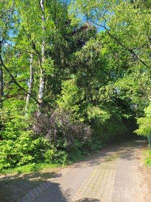 Straße zum Grundstück