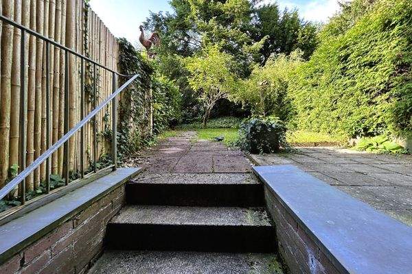 WEs in verschiedenen Größen