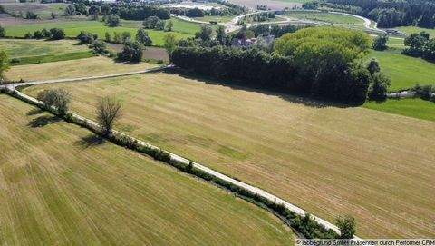 Aichach Bauernhöfe, Landwirtschaft, Aichach Forstwirtschaft