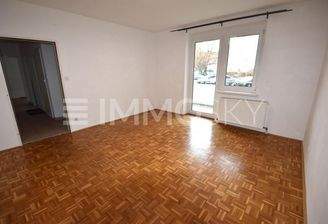 geräumiges Wohnzimmer