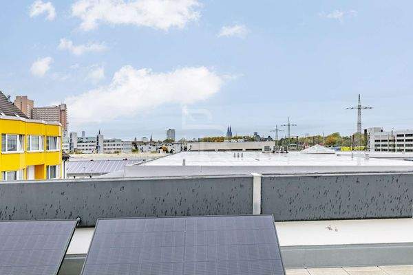 Home is where the Dom is!