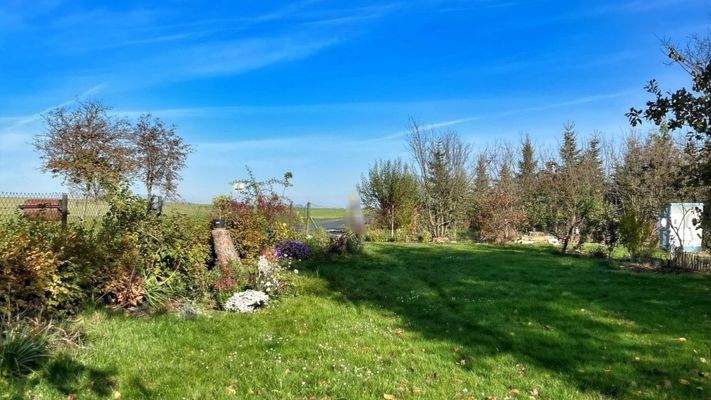 Impressionen aus dem Garten