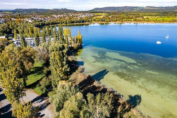 Luftaufnahme  Umgebung