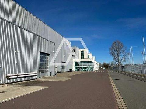 Magdeburg Halle, Magdeburg Hallenfläche