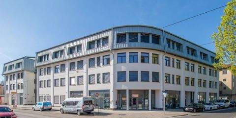 Dresden Ladenlokale, Ladenflächen 