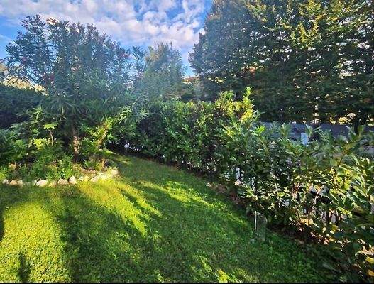 Schermata 2024-11-25 alle 16.58.30.jpg