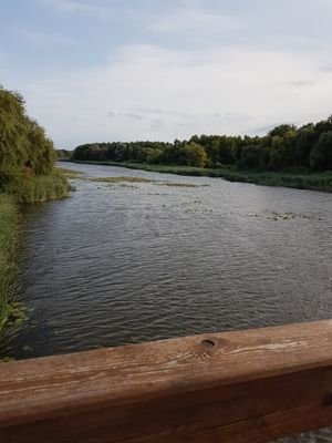 20200711_174738.jpg