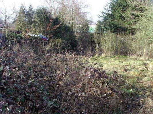 Eingewachsenes Grundstück mit Hanglage