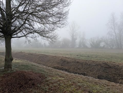 Märkisch Luch Grundstücke, Märkisch Luch Grundstück kaufen