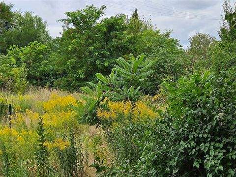 Brandenburg an der Havel Industrieflächen, Lagerflächen, Produktionshalle, Serviceflächen