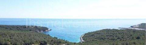 Vis Häuser, Vis Haus kaufen