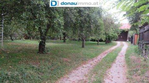 Eggenburg Halle, Eggenburg Hallenfläche