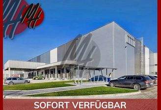 INFOS UNTER: 06171-586000