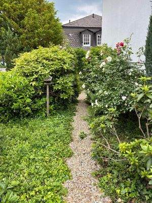 wunderschön eingewachsen