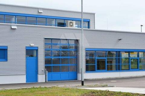 Nürnberg Halle, Nürnberg Hallenfläche