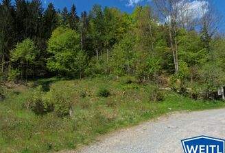 Blick auf das Grundstück