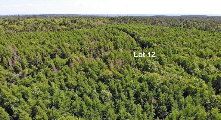 Cape Breton - Shaw Lake - 11,2 Hektar-Areal in her